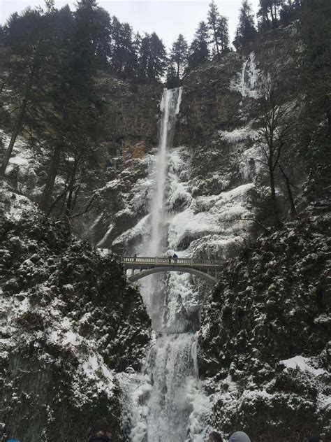 Explore Columbia River Gorge half-day small-group tour | musement