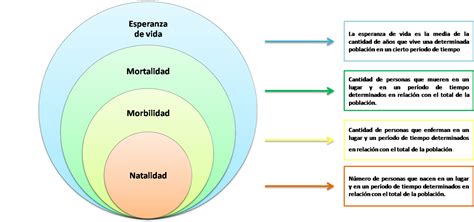 Roblesmoraeconomia Mapas Conceptuales De Indicadores De Salud Y Bienestar