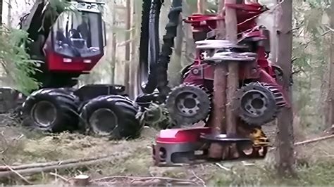 🚩extreme Fastest Chainsaw Cutting Tree Machines Biggest Felling Tree Heavy Equipment Machine