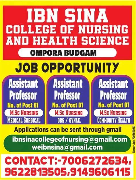 Ibn Sina College Of Nursing And Health Science Jobs