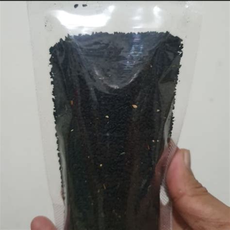 Jual Jinten Hitam Biji Habbatussaudah Black Seed Gr Shopee Indonesia