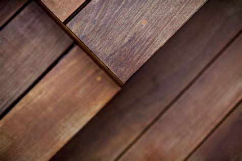 Chiswick | Roof Terrace - Studio Montagu