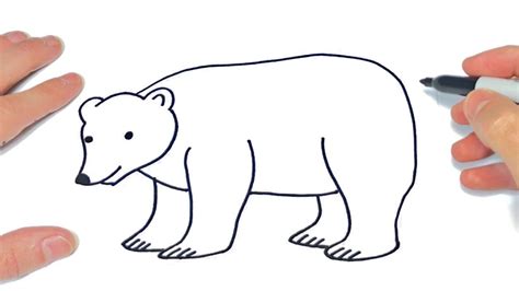 C Mo Dibujar Un Oso Polar Paso A Paso Dibujo De Oso Polar Youtube