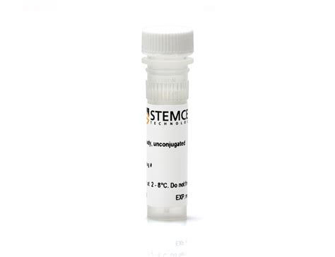 Anti-Oligodendrocyte Marker O4 Antibody, Clone 81 Mouse monoclonal IgM ...