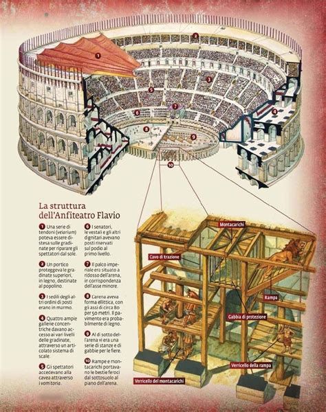 Cross-section of the Flavian amphitheater | Historia de roma, Clases de ...