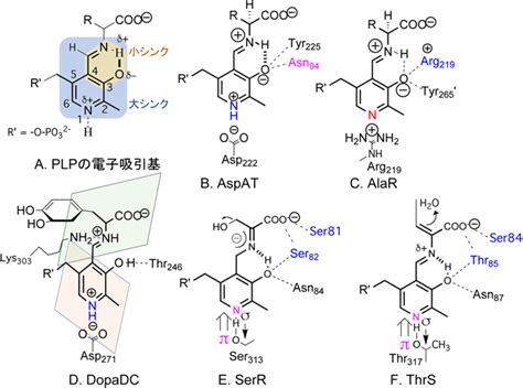 journal  japanese biochemical society
