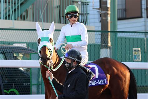 【船橋】昨年の東京ダービー馬アランバローズあす戦列復帰 南でも関でも 競馬コラム写真ニュース 日刊スポーツ