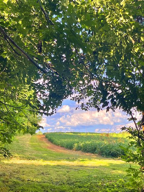 The laurie bembenek escape that shocked the entire nation 22