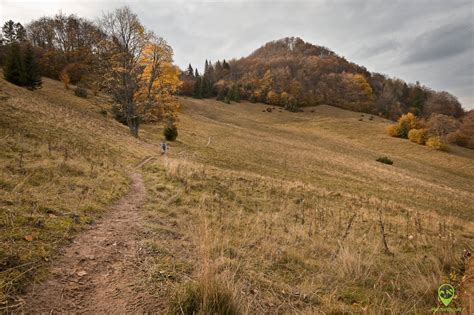 Wysoka W Pieninach Szlak Na Wysokie Ska Ki Z Jaworek