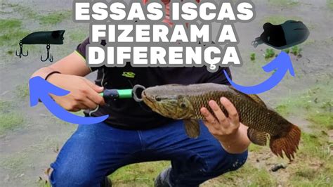 Essas iscas fizeram a diferença Pesca de traíras YouTube