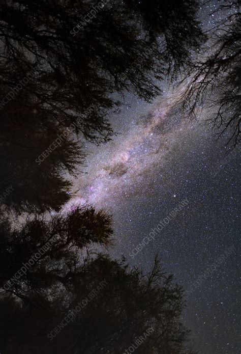 Milky Way over Atacama desert, Chile - Stock Image - C049/3508 ...