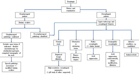 Dysphagia Workup