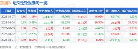 股票行情快报：东旭b（200413）8月7日主力资金净卖出2442万元成交额流向投资