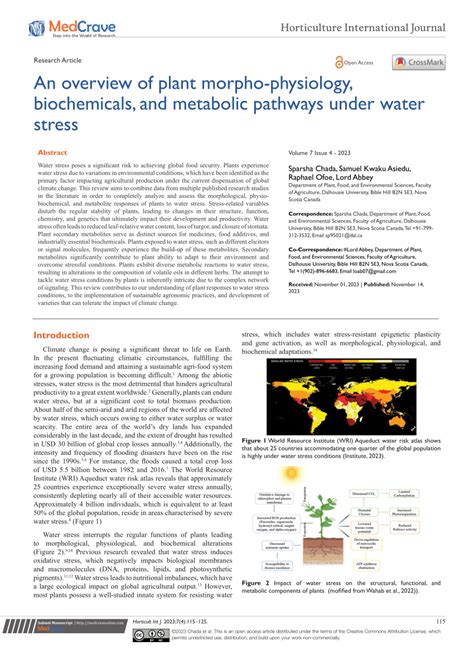 PDF An Overview Of Plant Morpho Physiology Biochemicals And