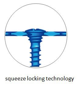 Locking Maxillofacial Mini Straight Bridge Plate Credible Solutions