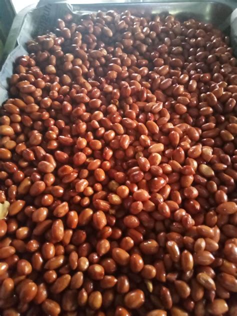 Kacang Goreng Kg Asli Madura Enak Gurih Renyah Lazada Indonesia