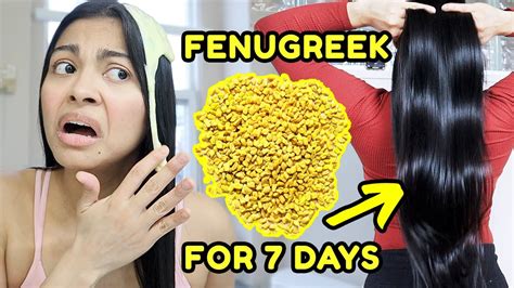 Fenugreek For 7 Days Grow The Thickest Hair Ever Before And After Results Youtube