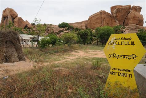 In Arittapatti, Tamil Nadu gets its first biodiversity heritage site - The Hindu