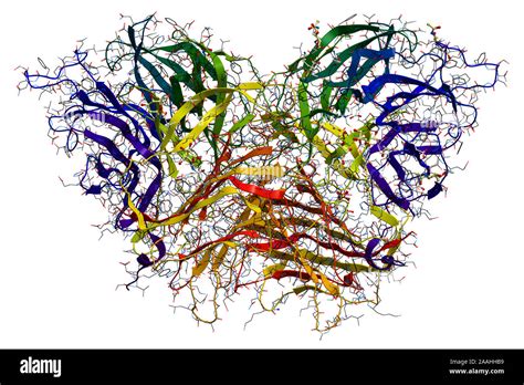 Human protein structure Cut Out Stock Images & Pictures - Alamy