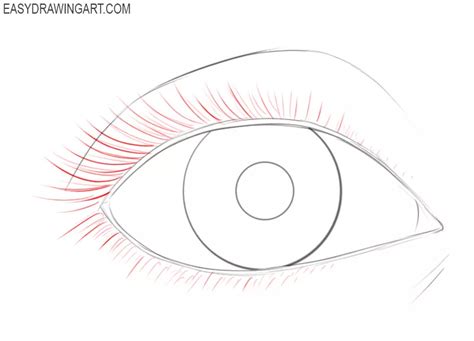 How To Draw An Eye Easy Drawing Art