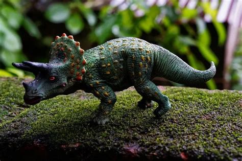 Mengenal Jejak Langka Fosil Dinosaurus Bertanduk Yang Ditemukan Dari