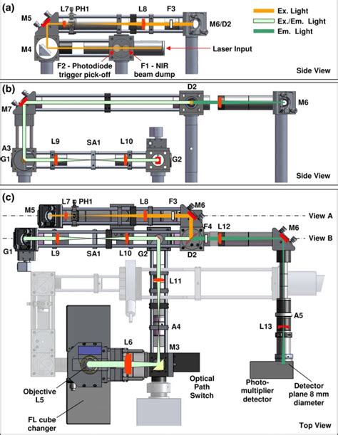 Schematic Diagram Of The Laser Scanning Beam Path See Text For