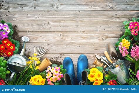 Herramientas Que Cultivan Un Huerto Y Flores De La Primavera En La