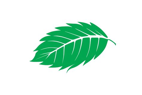 Mint Leaf Logo Graphic by WANGS · Creative Fabrica