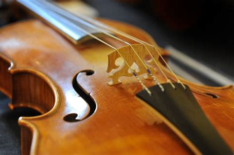 La Ville De Luzy Va Vibrer Au Rythme Du Violon De Vendredi