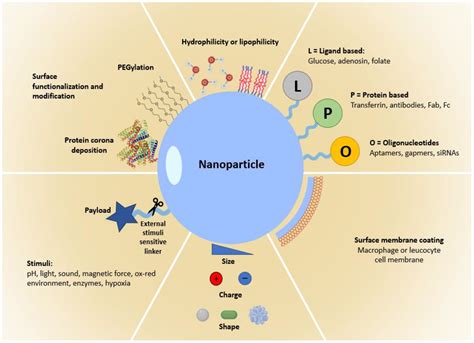 The Promise Of Nanotechnology In Personalized Medicine