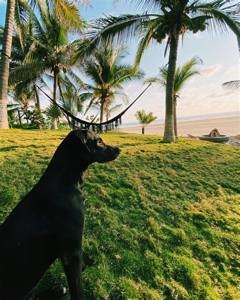 19 Fun-Filled Things To Do In Ixtapa-Zihuatanejo, Mexico