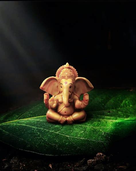 ganpati bapa  leaf murti photography