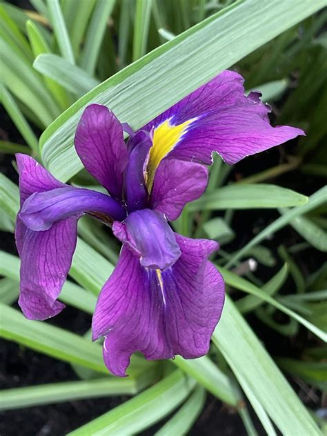 Guide to Funeral Venues and Memorial Chapels in Maple Ridge 5