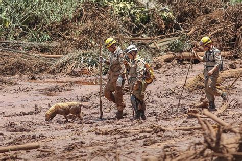 Espa O Governan A Brumadinho Trag Dia Faz Meses