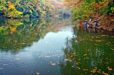 震生湖の紅葉｜紅葉情報2024