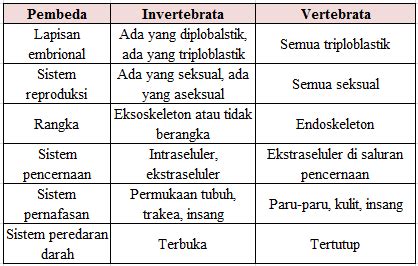 Invertebrata Dan Vertebrata Penjelasan Perbe Brain Kuempasi