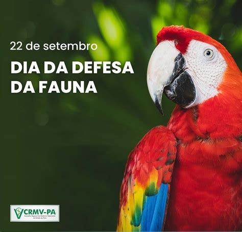 De Setembro Dia Da Defesa Da Fauna Crmv Pa