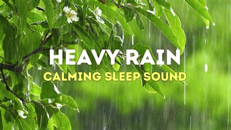 Heavy Rain Sounds To Fall Into Sleep Faster Beat Insomnia Sleep