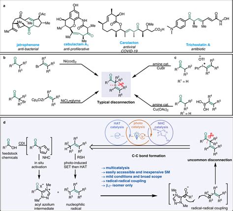 Bioactive Compounds With βγ Unsaturated Ketone Motifs And Approaches