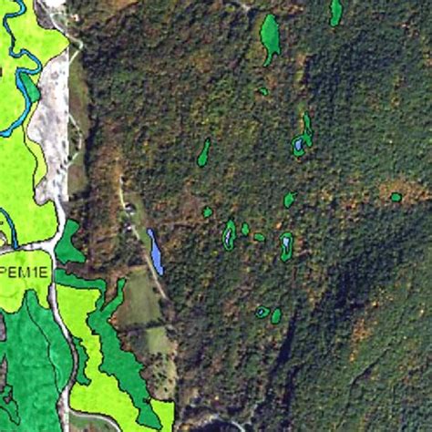 Figure D-3: Sample of NWI map from the USFWS Wetlands Mapper ...