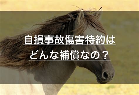 自損事故傷害特約（保険）はどんな特約なの？補償内容をわかりやすく解説！ 損保マン