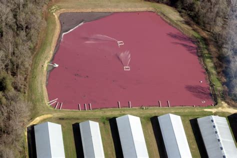 Is Rural North Carolina The Next Flint Civil Eats