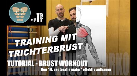 Tutorial Workout Brust Arme Chest Arms Ohne Ger Te