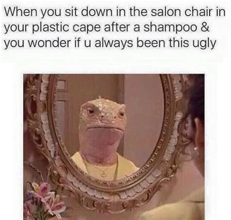 60 Memes That Will Keep Hairdressers Laughing For Hours