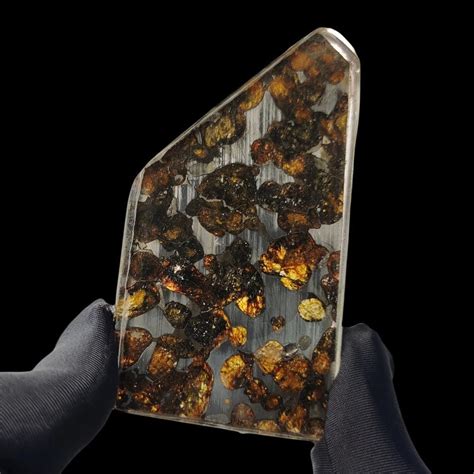 23 3G Sericho Pallasite Meteorite Slices Kenya Olive Meteorite Natural