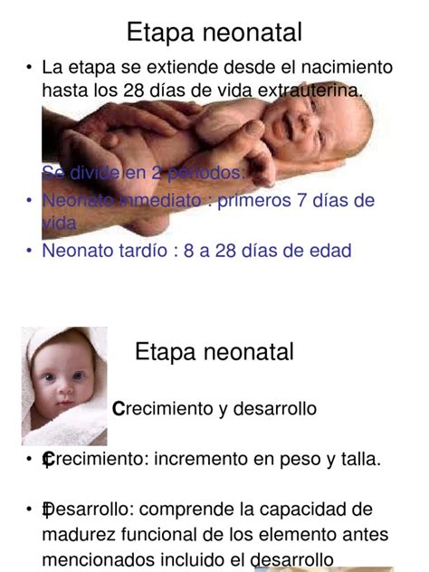 Ciclo Vital 2 Pdf Infantes Bienestar