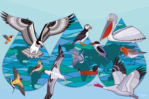 Día Mundial de las Aves Migratorias 13 de mayo