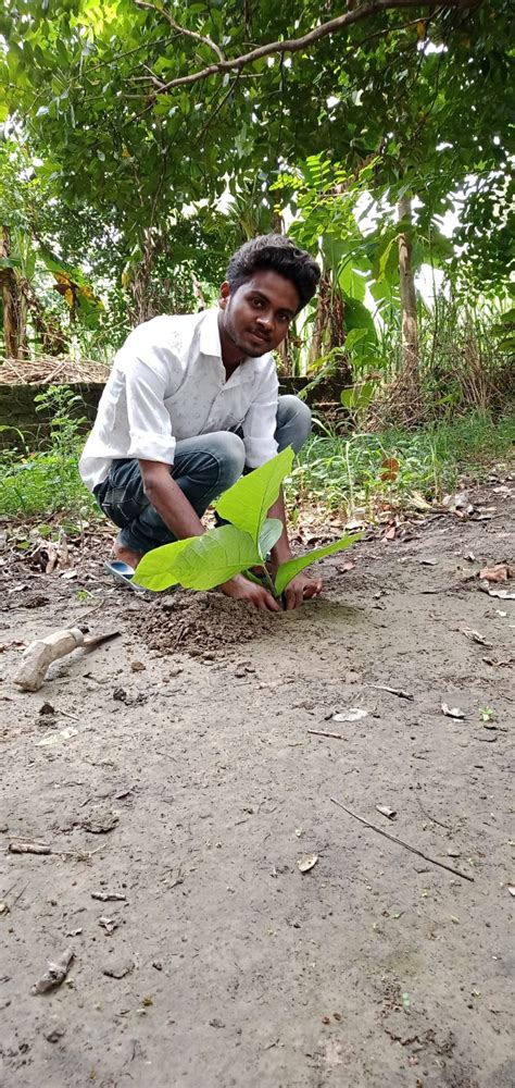 Tree Plantation India Ncc