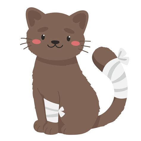 tips for cat injured for beginners 1