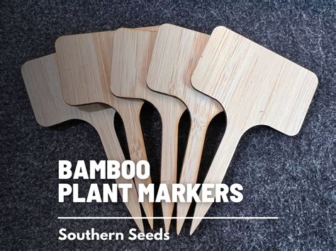 Bamboo Plant Markers 5 Count 236 X 394 Reliable And Reusable Etsy